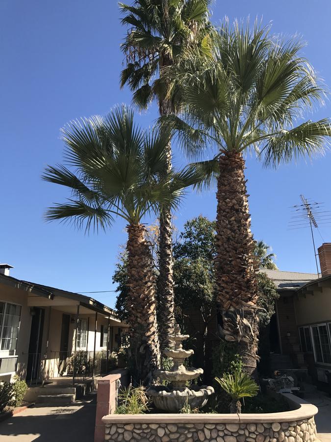 Elsinore Hotsprings Motel Lake Elsinore Esterno foto